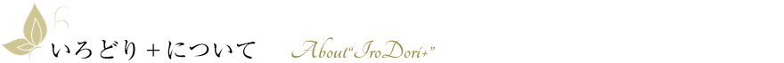 「いろどり+」について